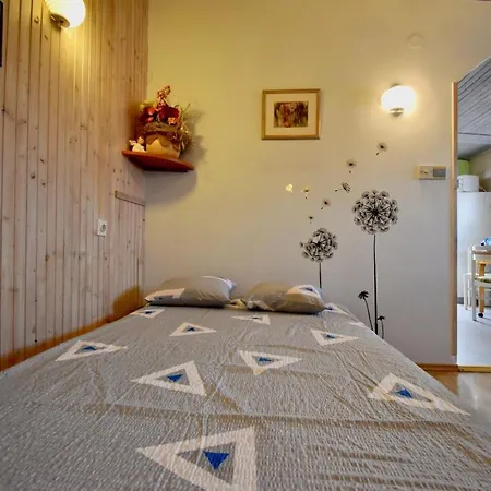 게스트하우스 Holiday Apartments Medulin 메덜린